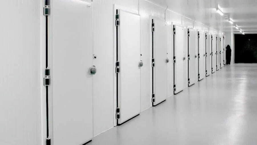 ¿Qué tipo de puerta necesitas si manejas productos perecederos?